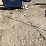 Overflowing Garbage Cans at 9604 111 Avenue NW